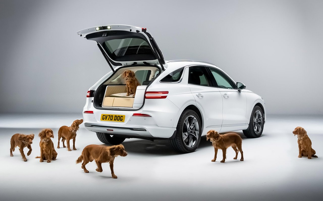 Genesis X Dog: The Future of Dog-Friendly Car